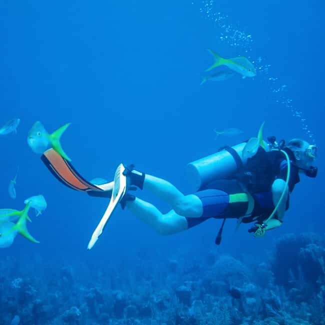 Discover Scuba at the Underwater Sculpture Park - FAQ