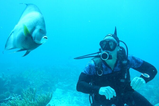 Discover Scuba - Final Thoughts