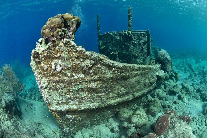 Discover Scuba Dive in Curacao - Key Points