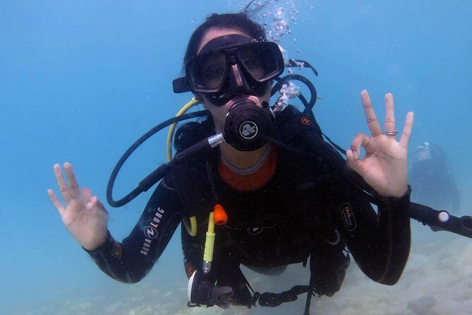 Discover Scuba Dive in Gran Canaria - Key Points