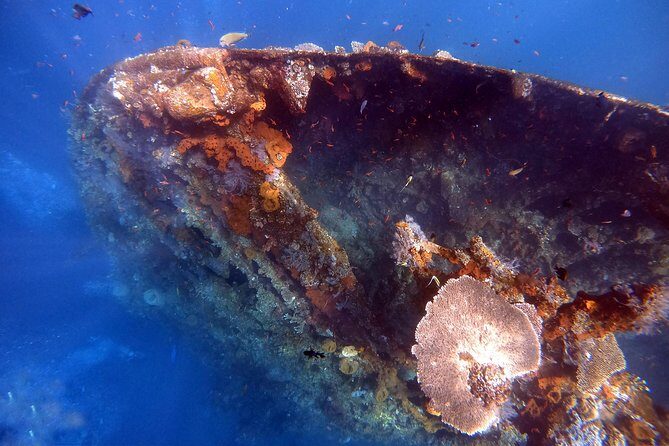 Discover Scuba Diving - What Makes This Tour Stand Out?