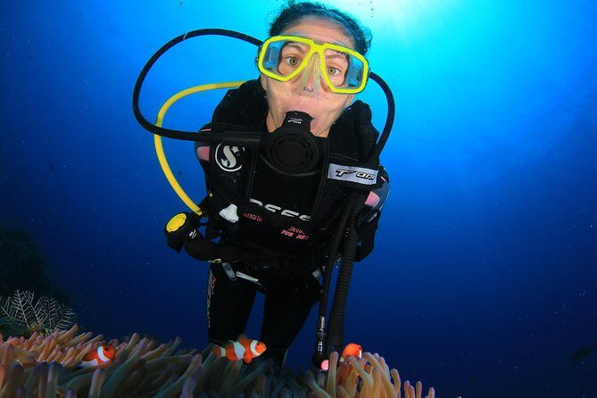 Discover Scuba Diving - Potential Drawbacks or Considerations