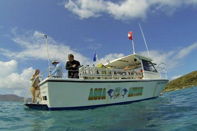 Discover Scuba Diving - An In-Depth Look at the Discover Scuba Diving Tour in St. Thomas