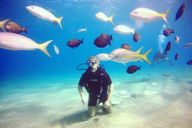 Discover Scuba Diving - Discover Scuba Diving in Sosua: An Authentic Underwater Adventure