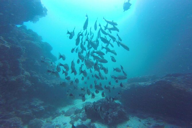 Discover Scuba Diving - Final Thoughts