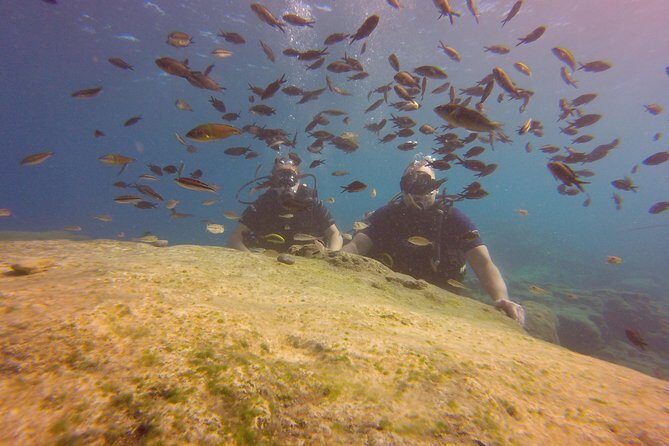 Discover Scuba diving - Key Points