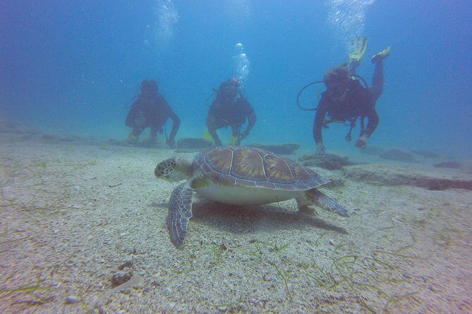 Discover Scuba diving - FAQ: Your Questions Answered