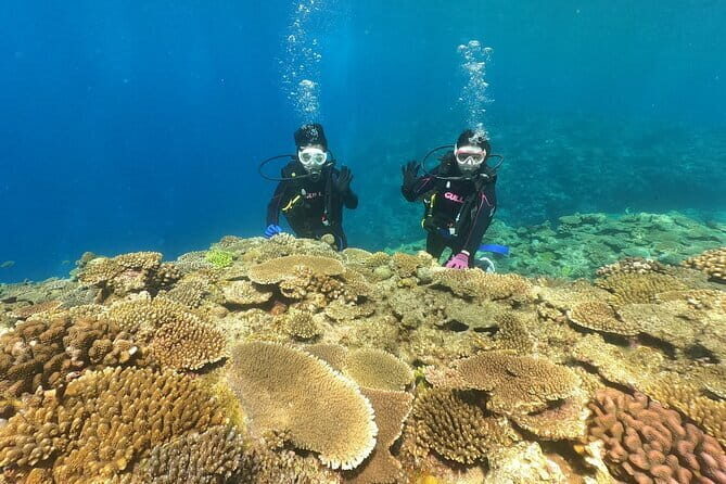 Discover SCUBA Diving 2 DIves Minna, Sesoko , Motobu Okinawa - An Honest Look at the Okinawa Discover SCUBA Tour
