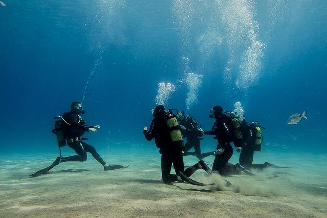Discover Scuba Diving - A Thorough Look at the Itinerary