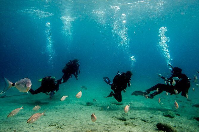 Discover Scuba Diving - Who Should Consider This?