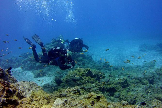 Discover Scuba Diving - Discover Scuba Diving in Tenerife: An Underwater Introduction for Beginners