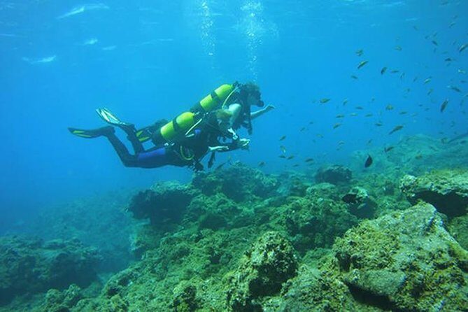 Discover Scuba Diving - An In-Depth Look at the Discover Scuba Diving Experience in Tenerife