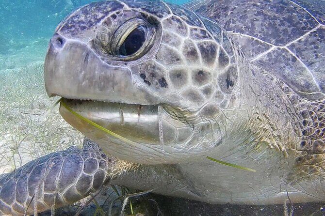 Discover Scuba Diving - Final Thoughts