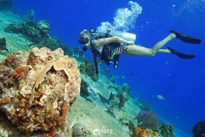 Discover Scuba Diving - Frequently Asked Questions