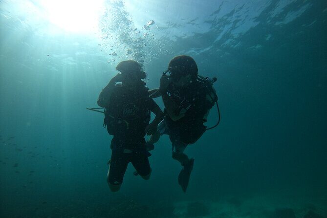 Discover SCUBA Diving - An In-Depth Look at the Discover SCUBA Diving Experience