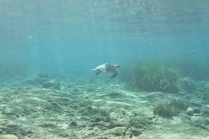 Discover Scuba Diving Amathounta's Ancient Port - In-Depth Review: Exploring the Underwater and Historical Blend