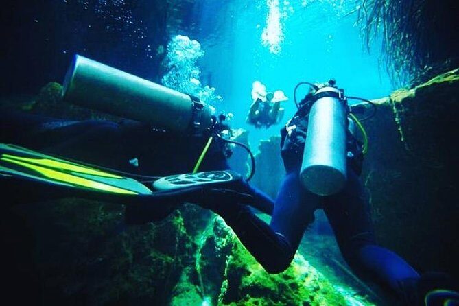Discover Scuba Diving at Casa Cenote - Practical details and considerations