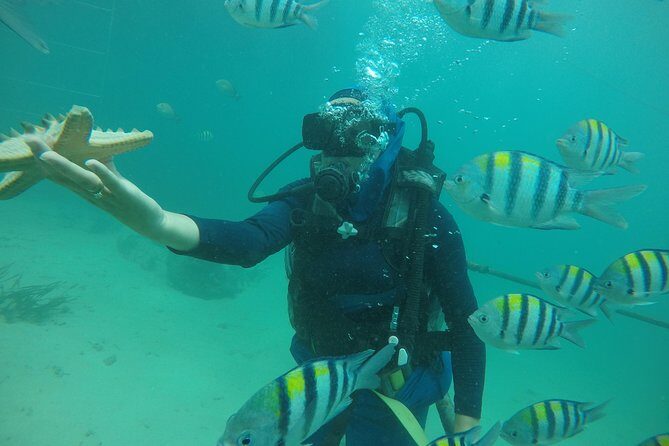 Discover Scuba Diving ( beginners) Combined With Jet Ski - An In-Depth Look at What This Tour Offers