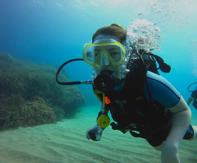 Discover Scuba Diving Boat Tour - An In-Depth Look at the Discover Scuba Boat Tour