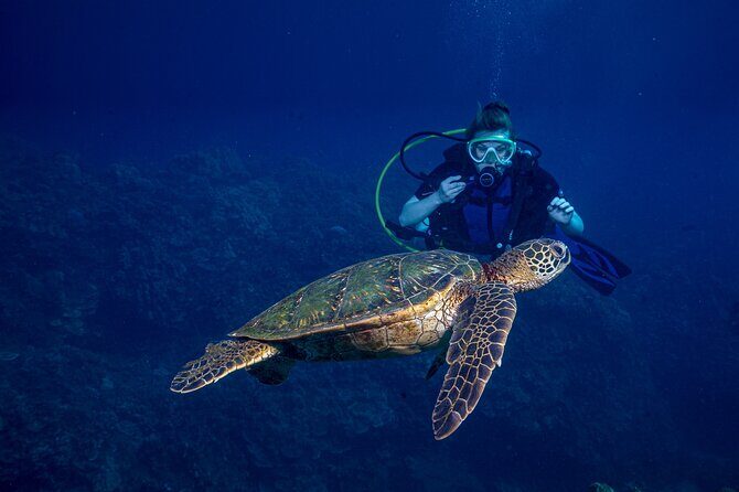 Discover Scuba Diving Class from Lahaina - An In-Depth Look at the Maui Discover Scuba Experience