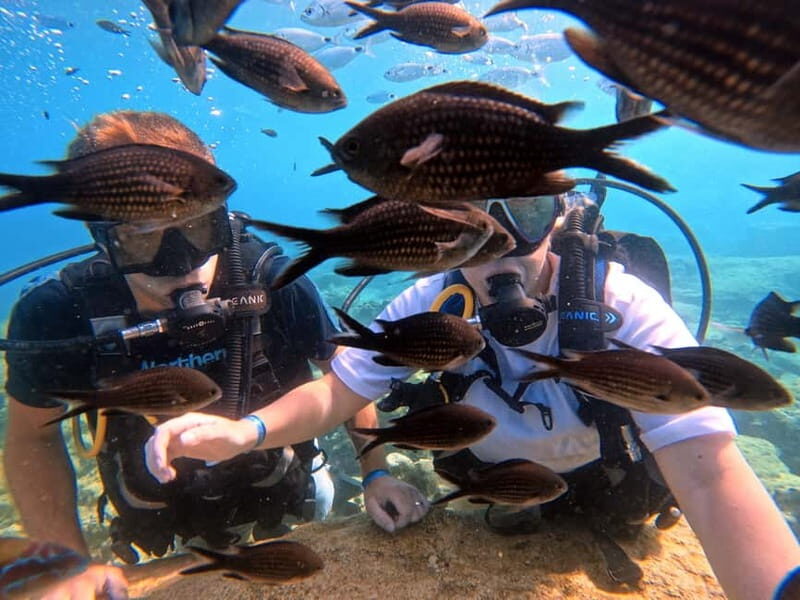 Discover Scuba Diving Experience - An In-Depth Look at the Cyprus Discover Scuba Experience