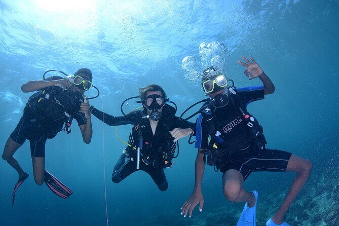 Discover Scuba Diving Experience - Discover Scuba Diving Experience: An Authentic Intro to Underwater Adventure in Curacao