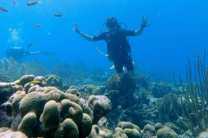 Discover Scuba Diving Experience - Authentic Experiences and Guest Perspectives