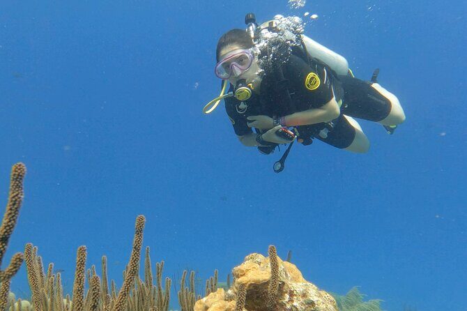 Discover Scuba Diving Experience - Who Should Consider This Tour?