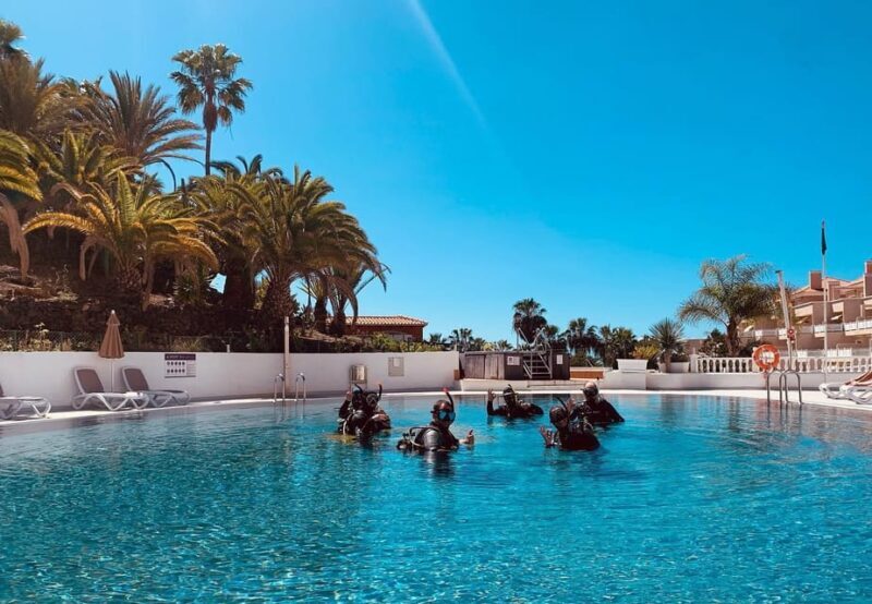 Discover Scuba Diving Experience - Why This Experience Is a Great Choice