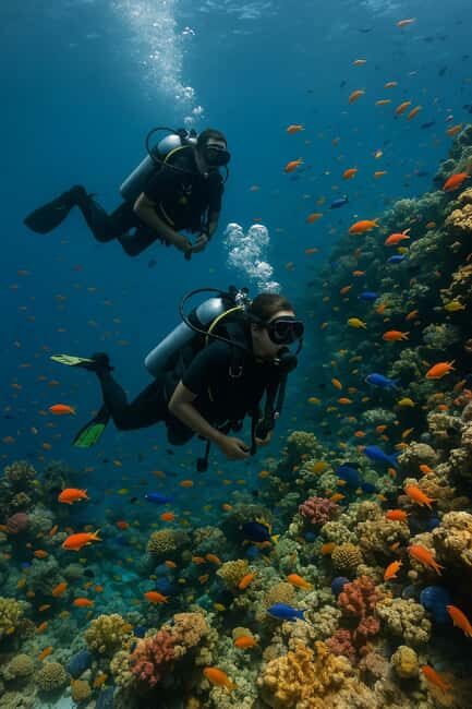 Discover Scuba Diving for Beginners  Negril - Final Thoughts: Who Will Love This Experience?