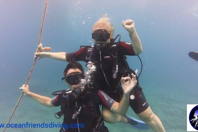Discover Scuba Diving, free pictures included - Deep Dive into the Details: Why This Tour Works