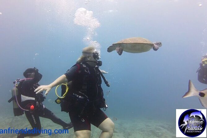Discover Scuba Diving, free pictures included - Final Thoughts: Is This Tour for You?