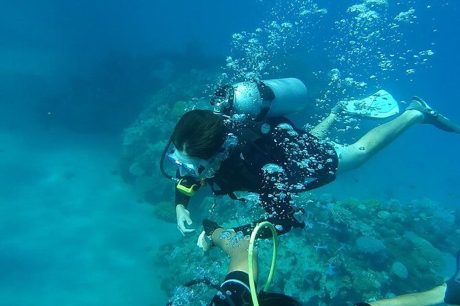 Discover Scuba Diving From Ocho Rios - Why This Tour Stands Out