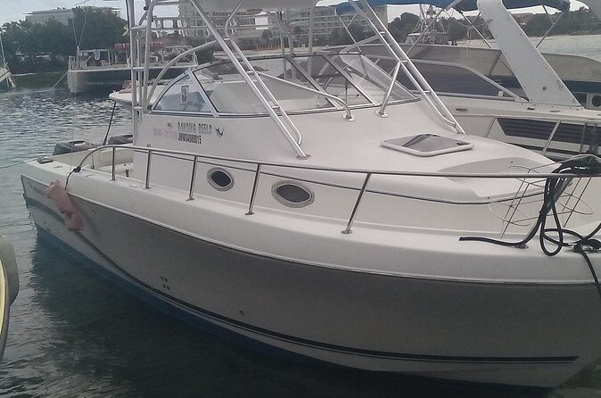 Discover Scuba Diving From Ocho Rios - Who Would Enjoy This Tour?