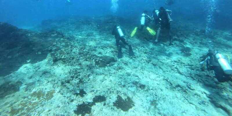 Discover Scuba Diving : Hikkaduwa : Scuba Diving - Who Should Consider This Tour?