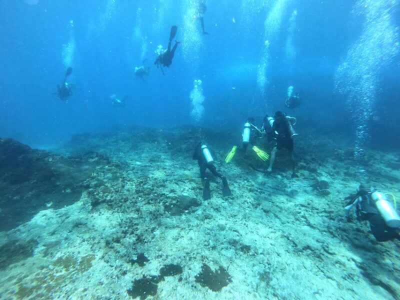 Discover Scuba Diving : Hikkaduwa : Scuba Diving - The Sum Up