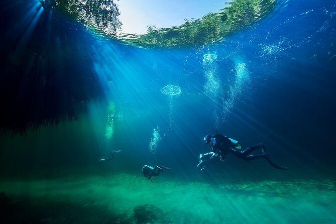 Discover Scuba Diving in cenote Casa including underwater video! - Discover Scuba Diving in Casa Cenote — A Practical Guide
