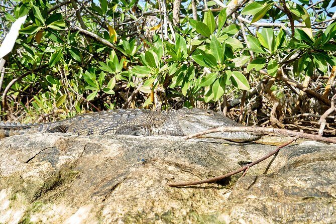 Discover Scuba Diving in cenote Casa including underwater video! - FAQ