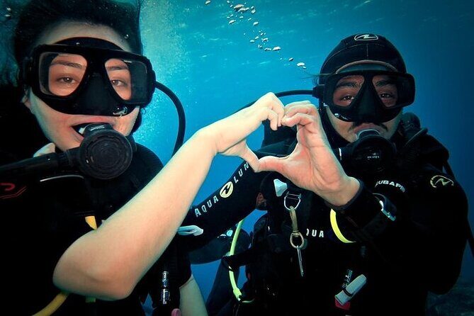 Discover Scuba Diving in Cozumel Paradise Reef - A Deep Dive into the Experience