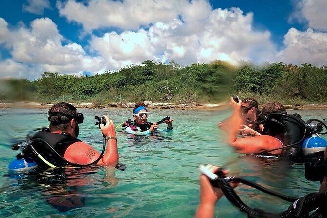 Discover Scuba Diving in Cozumel Paradise Reef - FAQ