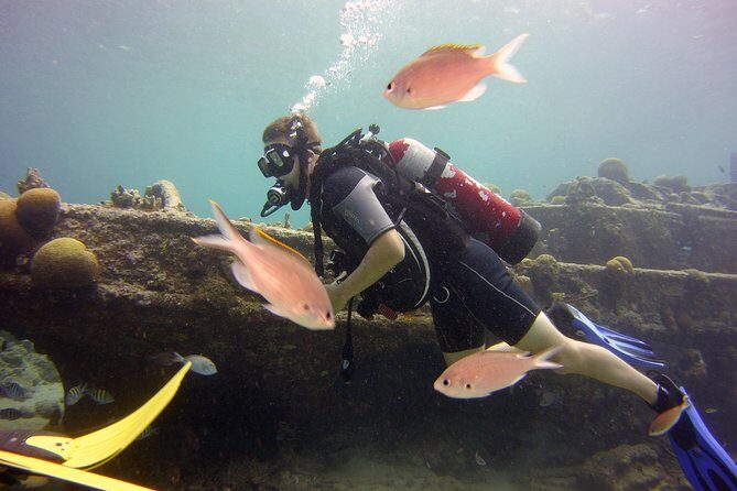 Discover Scuba Diving in Curacao - Practical Considerations