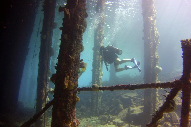 Discover Scuba Diving in Curacao - The Sum Up: Is It Worth It?