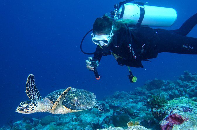 Discover Scuba Diving in Koh Lanta, Thailand - Final Thoughts