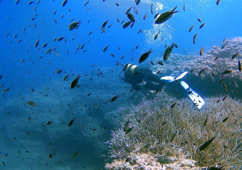 Discover Scuba Diving in Menorca: your first underwater adventure - Exploring the Menorca Discover Scuba Tour