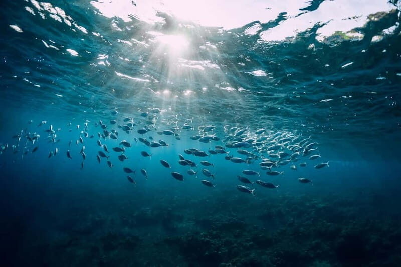 Discover Scuba Diving in Menorca: your first underwater adventure - FAQ