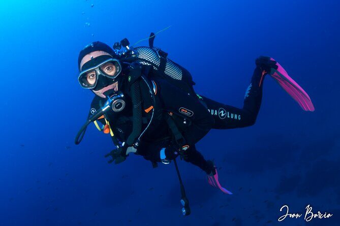 Discover Scuba Diving in Palamos - Discover Scuba Diving in Palamos: An Authentic Underwater Introduction