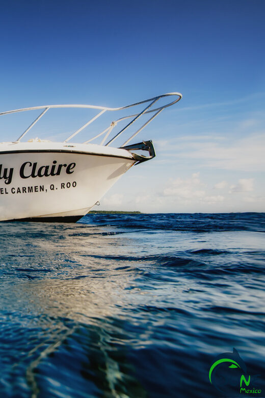 Discover Scuba Diving in Playa del Carmen - 2 dives - Who Should Consider This Tour?