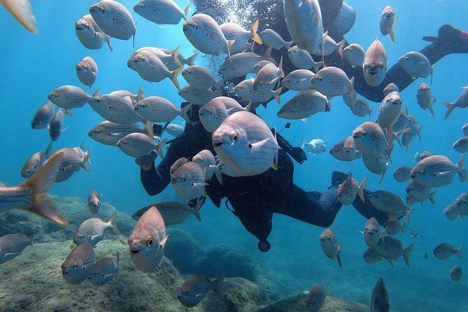 Discover Scuba Diving in Puerto de Mogan - What Makes This Experience Stand Out?