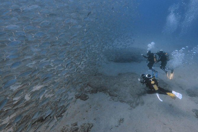 Discover Scuba Diving in Puerto de Mogan - Who Will Love This Tour?