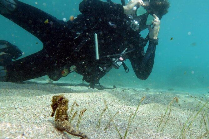 Discover Scuba Diving in San Juan - What the Reviews Say